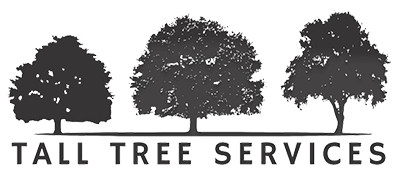 Tall Tree Services