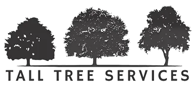 Tall Tree Services